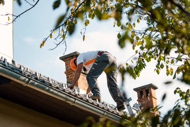 Roof Insulation Installation in Stepping Stone, CO